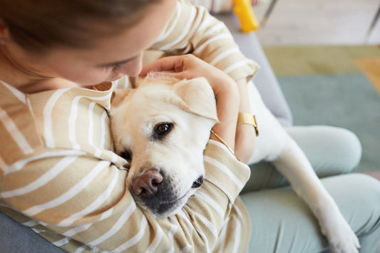 Woman holding their dog closely for emotional grounding during breakup recovery.