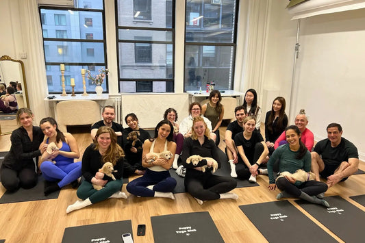 Discover fun team building activities that help modern teams relax, connect naturally, and enjoy a more wellness-focused workplace culture.