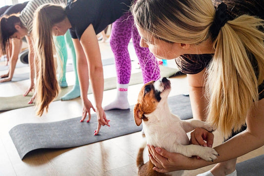 Small group participating in a puppy yoga class together
