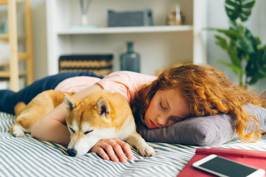 How Dogs Experience Love and Feel Safe With Humans