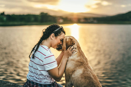 Woman sharing an affectionate moment with her golden retriever, illustrating the human-animal bond