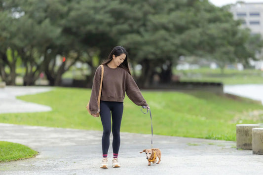 Person walking a small dog along a quiet path