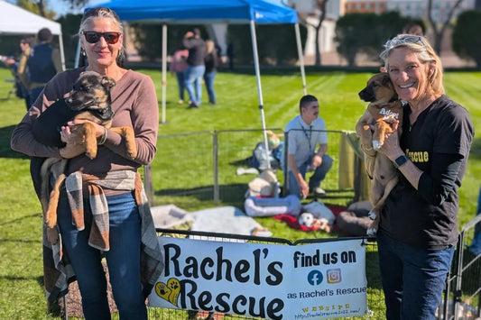 Kim Hansen with rescue puppies at a Rachel’s Rescue adoption event